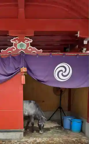 神田神社（神田明神）の動物