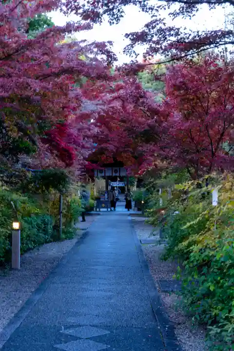 梨木神社(京都府)