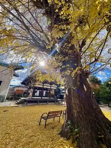 和田神社(滋賀県)