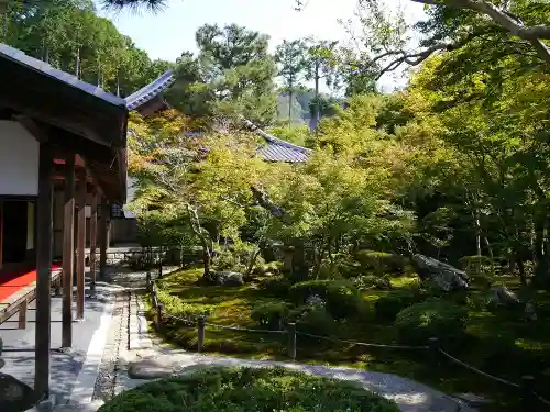 圓光寺の庭園