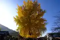 丹生酒殿神社(和歌山県)