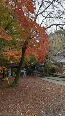 松ヶ崎大黒天 妙圓寺（妙円寺）(京都府)