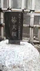 浄土宗 光明山 大蓮寺（照曜会館）の自然