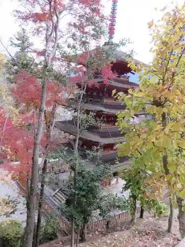 長谷寺の塔