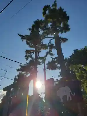 御霊神社のその他建物
