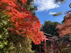 北口本宮冨士浅間神社の自然