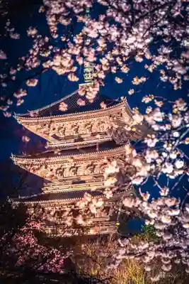 東寺（教王護国寺）(京都府)