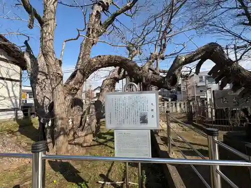 豊受神社(千葉県)