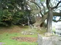 打越天満宮(熊本県)