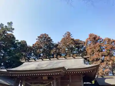 阿夫利神社(千葉県)