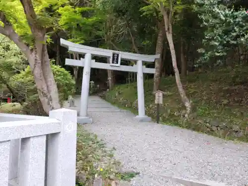 出雲大神宮の{uncategorized: "未分類", other: "その他", undefined: "問題あり", building: "その他建物", grave: "お墓", sacred_gate: "鳥居", guardian: "狛犬", statue: "像", buddha: "仏像", history: "歴史", nature: "自然", garden: "庭園", animal: "動物", pagoda: "塔", temizu: "手水舎", mountain_gate: "山門・神門", sanctuary: "本殿・本堂", subordinate: "末社・摂社", art: "芸術", scenery: "景色", jizo: "地蔵", ema: "絵馬", goshuin: "御朱印", omikuji: "おみくじ", items: "授与品その他", amulet: "お守り", goshuincho: "御朱印帳", eats: "食事", festival: "お祭り", votive_dance: "神楽", shichigosan: "七五三参", wedding: "結婚式", experience: "体験その他", initially: "初詣", around: "周辺", anti_infection: "感染症対策"}
