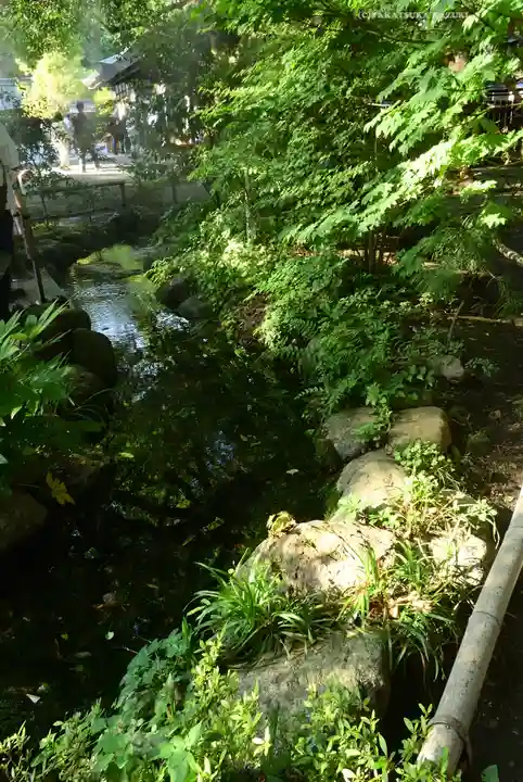 秩父神社(埼玉県)