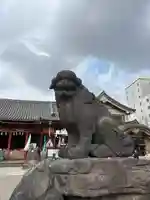 浅草神社の狛犬