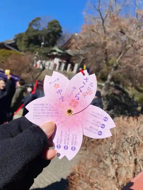 埼玉厄除け開運大師・龍泉寺(切り絵御朱印発祥の寺)(埼玉県)