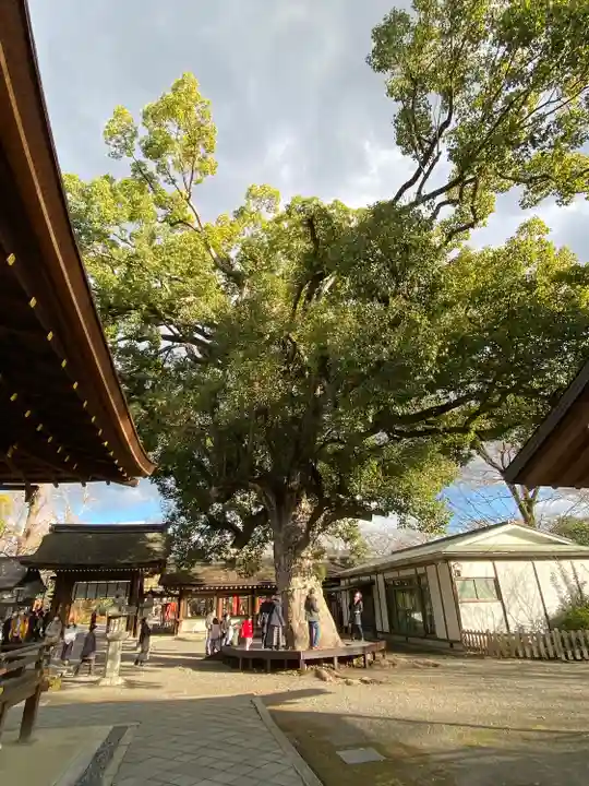 平野神社(京都府)