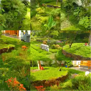 寿量山 速成寺の庭園(2023年06月21日(水) 18時00分10秒投稿)