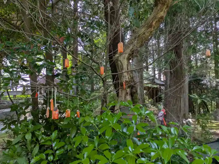 真禅院(岐阜県)