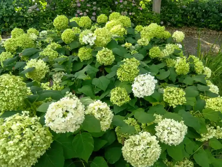性海寺(愛知県)
