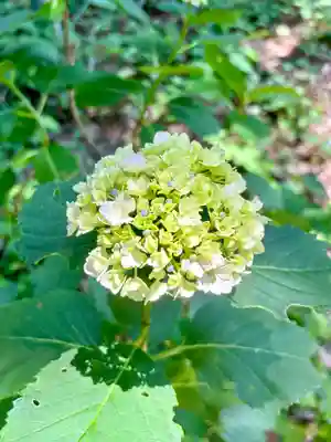 蚊里田八幡宮(長野県)