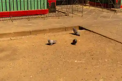 根津神社(東京都)