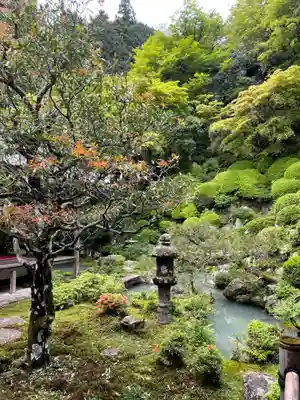 柳谷観音　楊谷寺(京都府)