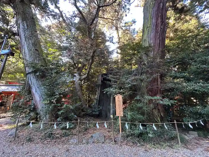香取神宮(千葉県)