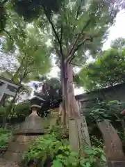 代々木八幡宮の建物その他