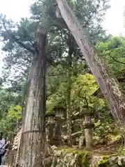 石上神宮(奈良県)