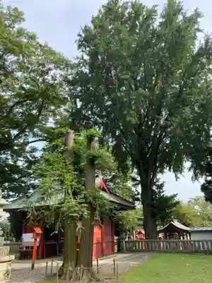 長沼八幡宮(栃木県)