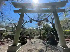 天鷹神社の鳥居(2025年11月28日(金) 18時24分52秒投稿)