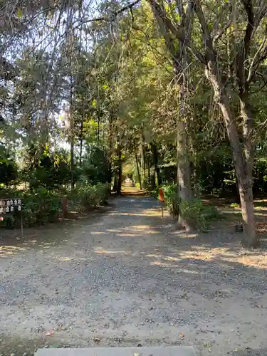 結城諏訪神社の自然