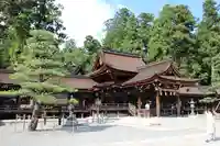 多賀大社の本殿・本堂