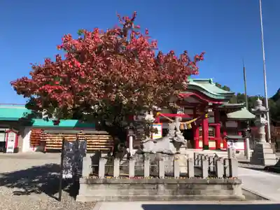 上野天満宮の狛犬