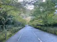二尊院の{uncategorized: "未分類", other: "その他", undefined: "問題あり", building: "その他建物", grave: "お墓", sacred_gate: "鳥居", guardian: "狛犬", statue: "像", buddha: "仏像", history: "歴史", nature: "自然", garden: "庭園", animal: "動物", pagoda: "塔", temizu: "手水舎", mountain_gate: "山門・神門", sanctuary: "本殿・本堂", subordinate: "末社・摂社", art: "芸術", scenery: "景色", jizo: "地蔵", ema: "絵馬", goshuin: "御朱印", omikuji: "おみくじ", items: "授与品その他", amulet: "お守り", goshuincho: "御朱印帳", eats: "食事", festival: "お祭り", votive_dance: "神楽", shichigosan: "七五三参", wedding: "結婚式", experience: "体験その他", initially: "初詣", around: "周辺", anti_infection: "感染症対策"}