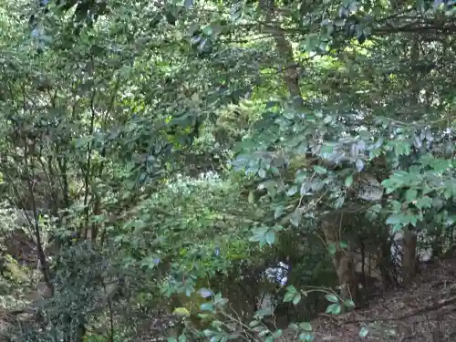 醍醐寺（上醍醐）(京都府)