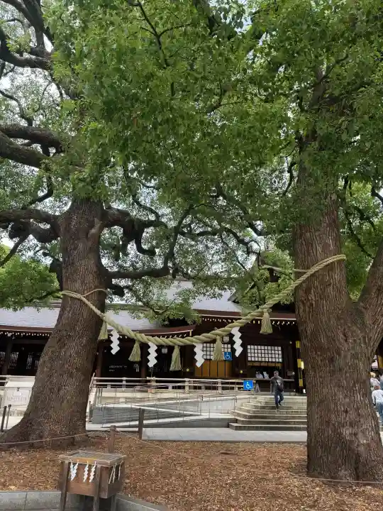 明治神宮(東京都)