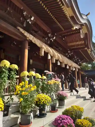 寒川神社(神奈川県)