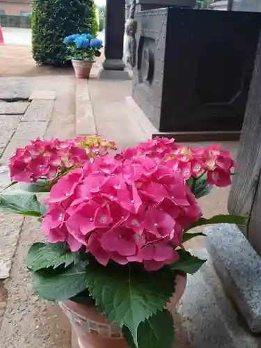 伏木香取神社の自然