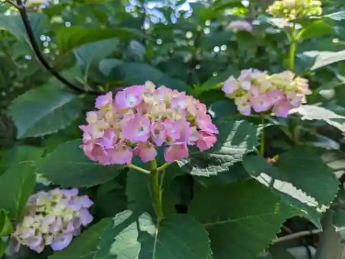 藤森神社(京都府)