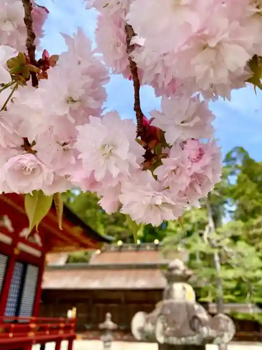 志波彦神社・鹽竈神社の{uncategorized: "未分類", other: "その他", undefined: "問題あり", building: "その他建物", grave: "お墓", sacred_gate: "鳥居", guardian: "狛犬", statue: "像", buddha: "仏像", history: "歴史", nature: "自然", garden: "庭園", animal: "動物", pagoda: "塔", temizu: "手水舎", mountain_gate: "山門・神門", sanctuary: "本殿・本堂", subordinate: "末社・摂社", art: "芸術", scenery: "景色", jizo: "地蔵", ema: "絵馬", goshuin: "御朱印", omikuji: "おみくじ", items: "授与品その他", amulet: "お守り", goshuincho: "御朱印帳", eats: "食事", festival: "お祭り", votive_dance: "神楽", shichigosan: "七五三参", wedding: "結婚式", experience: "体験その他", initially: "初詣", around: "周辺", anti_infection: "感染症対策"}