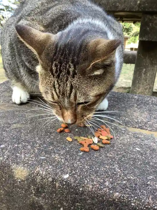 玉野御嶽神社の動物