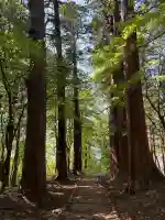 羽黒山五重塔(出羽三山神社)(山形県)