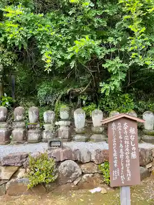 大中寺(栃木県)