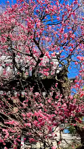 萬昌院功運寺(東京都)