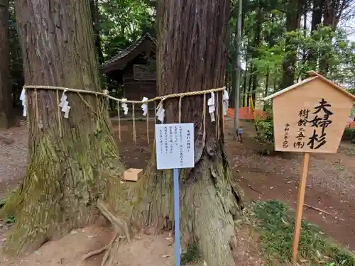 間々田八幡宮のその他建物