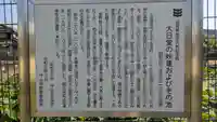 大日堂(近江妙蓮公園)(滋賀県)