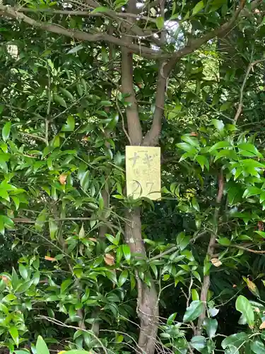 一之宮神社の建物その他