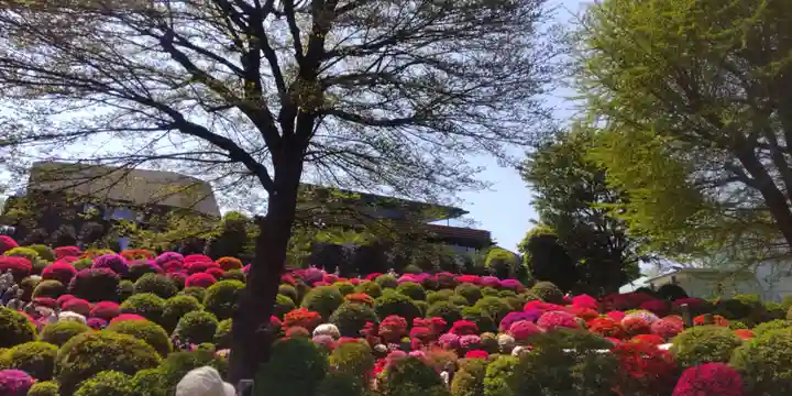 根津神社(東京都)