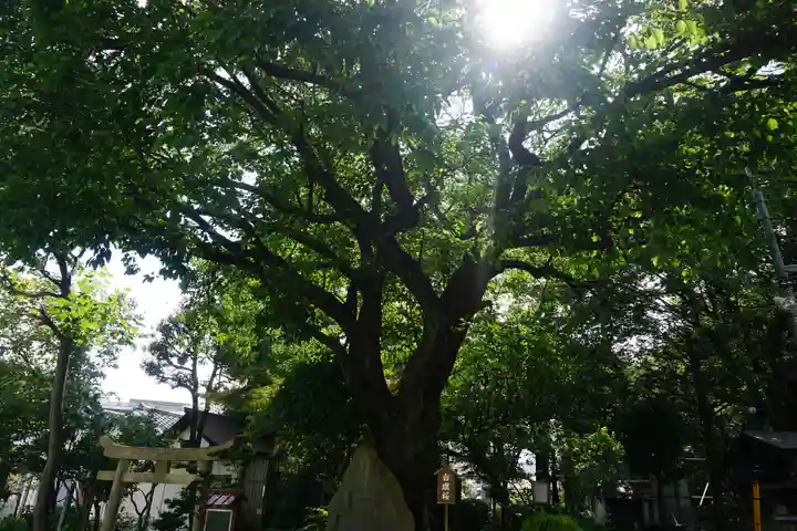 白山神社のその他建物