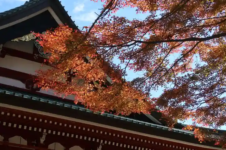 比叡山延暦寺(滋賀県)